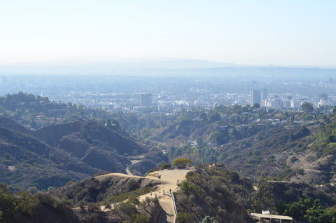 Hollywood Hills - Canvas