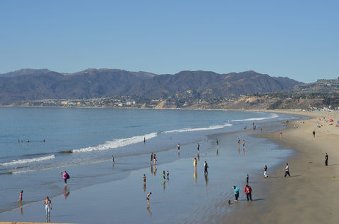 Santa Monica Pier - Canvas